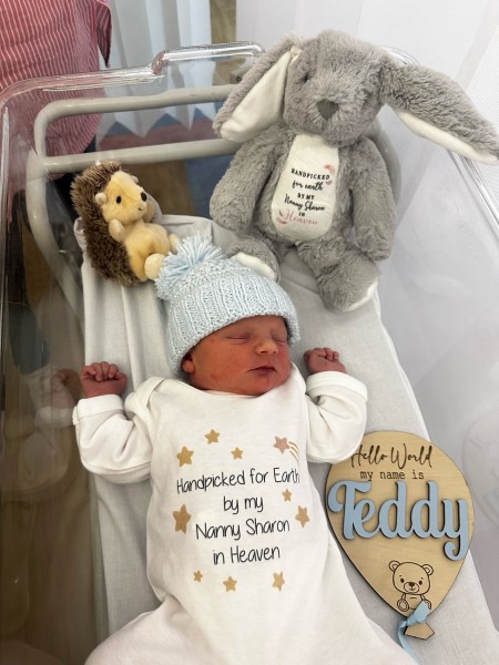 Baby Teddy asleep in his hospital cot, wearing a little blue bobble hat and baby grow which says: 'Handpicked for Earth by my Nanny Sharon in Heaven'. There are also two stuffed toys resting above Teddy's head and a sign to his right which says: 'Hello world my name is Teddy'.